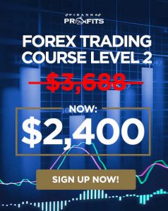 Adam Khoo – Forex Trading Course Level 2 – Pip Netter