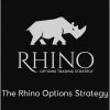 SMB – The Rhino Options Strategy