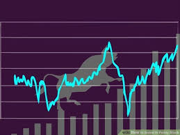 Mubarak Shah – Penny Stock Trading – Analyzing the Most Profitable Stocks (2016)