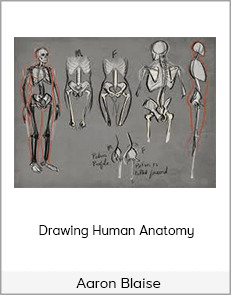 Aaron Blaise - Drawing Human Anatomy