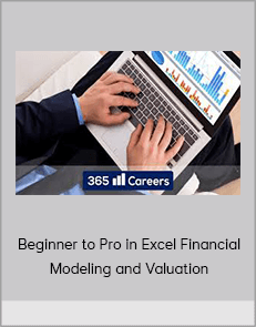 Beginner to Pro in Excel Financial Modeling and Valuation