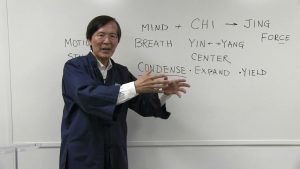 Waysun Liao - How Condensing Breathing Creates Jing Power - ADVANCED