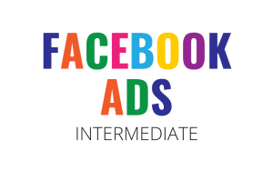 ConversionXL - Dennis Yu & Logan Young - Intermediate Facebook Ads