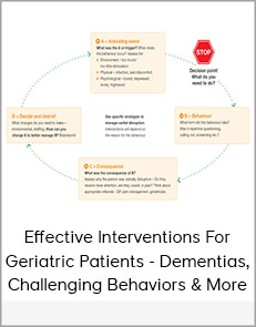 Effective Interventions for Geriatric Patients: Dementias, Challenging Behaviors & More