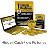 Ian Flannigan – Hidden Cash Flow Fortunes