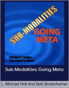 L. Michael Hall And Bob Bodenhamer - Sub-Modalities Going Meta