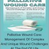 Laurie Klipfel – Palliative Wound Care