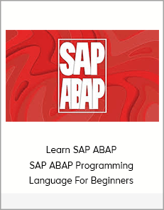 Learn SAP ABAP- SAP ABAP Programming Language For Beginners