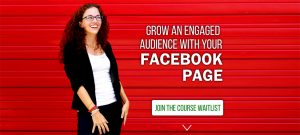 Moolah - FB Page Strategies