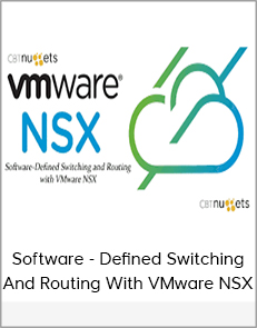 Software-Defined Switching and Routing with VMware NSX