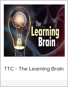 TTC - The Learning Brain