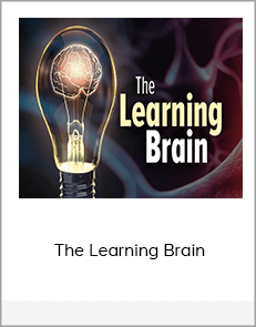 The Learning Brain