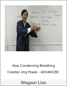 Waysun Liao - How Condensing Breathing Creates Jing Power - ADVANCED