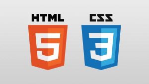 The Complete HTML & CSS Course - From Novice To Professional