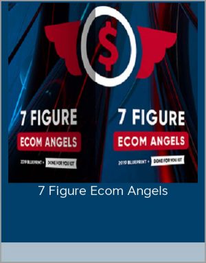 7 Figure Ecom Angels