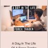 A Day In The Life Of A Forex Trader