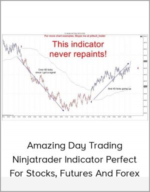 Amazing Day Trading Ninjatrader Indicator Perfect For Stocks, Futures And Forex