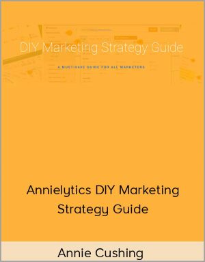 Annie Cushing - Annielytics DIY Marketing Strategy Guide