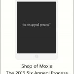 Ash Ambirge - Shop Of Moxie - The 2015 Six Appeal Process