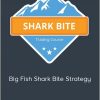 Basecamp - Big Fish Shark Bite Strategy