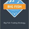 Basecamp - Big Fish Trading Strategy