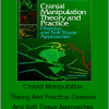 Cranial Manipulation Theory And Practice: Osseous And Soft Tissue Approaches