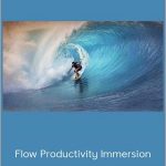 DIY Genius Media - Flow Productivity Immersion