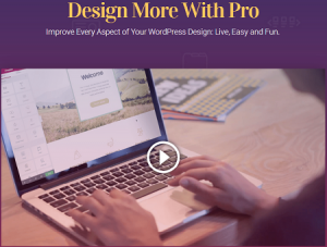 Elementor Pro - Improve Every Aspect of Your WordPress Design Live, Easy and Fun