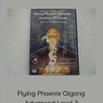 Grandmaster Doo Wai - Flying Phoenix Qigong Advanced Level 3