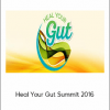 Heal Your Gut Summit 2016