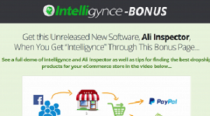 Intelligynce Platinum - Spy On Over 100,000 Shopify Stores And Over 500,000 Products