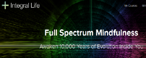 Ken Wilber - Full Spectrum Mindfulness