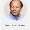 Master Chunyi Un - Spring Forest Qigong