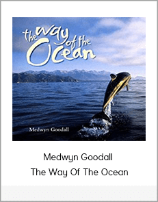 Medwyn Goodall - The Way Of The Ocean