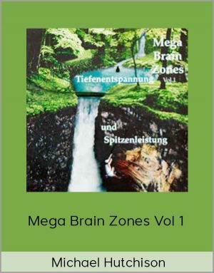 Michael Hutchison - Mega Brain Zones Vol 1