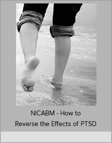 NICABM - How to Reverse the Effects of PTSD