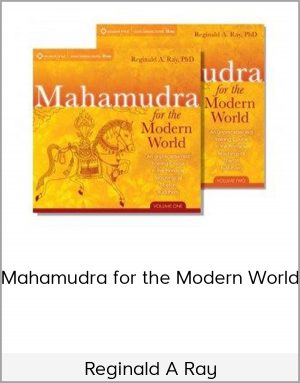 Reginald A Ray - Mahamudra For The Modern World