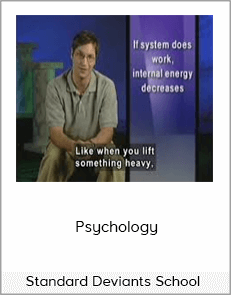 Standard Deviants School - Psychology