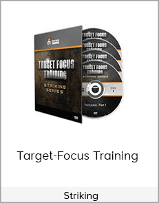 Target-Focus Training - Striking