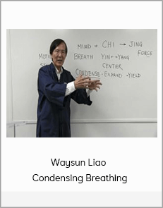 Waysun Liao - Condensing Breathing