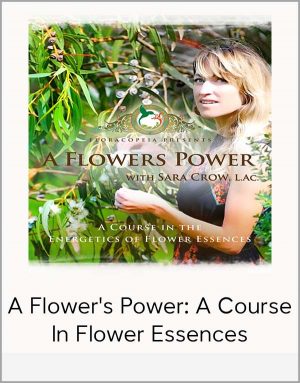 A Flower's Power: A Course In Flower Essences