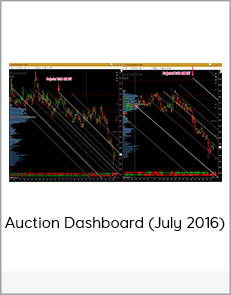 Auction Dashboard (July 2016)