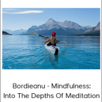 Bordieanu - Mindfulness: Into The Depths Of Meditation