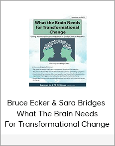 Bruce Ecker & Sara Bridges - What The Brain Needs For Transformational Change