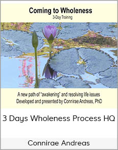 Connirae Andreas - 3 Days Wholeness Process HQ