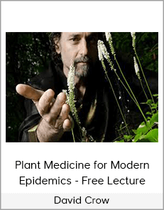 David Crow - Plant Medicine for Modern Epidemics - Free Lecture