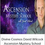 Divine Cosmos David Wilcock Ascension Mystery School