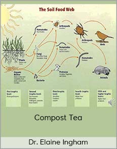 Dr. Elaine Ingham - Compost Tea