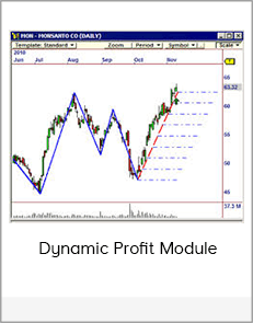 Dynamic Profit Module