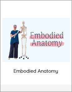 Embodied Anatomy